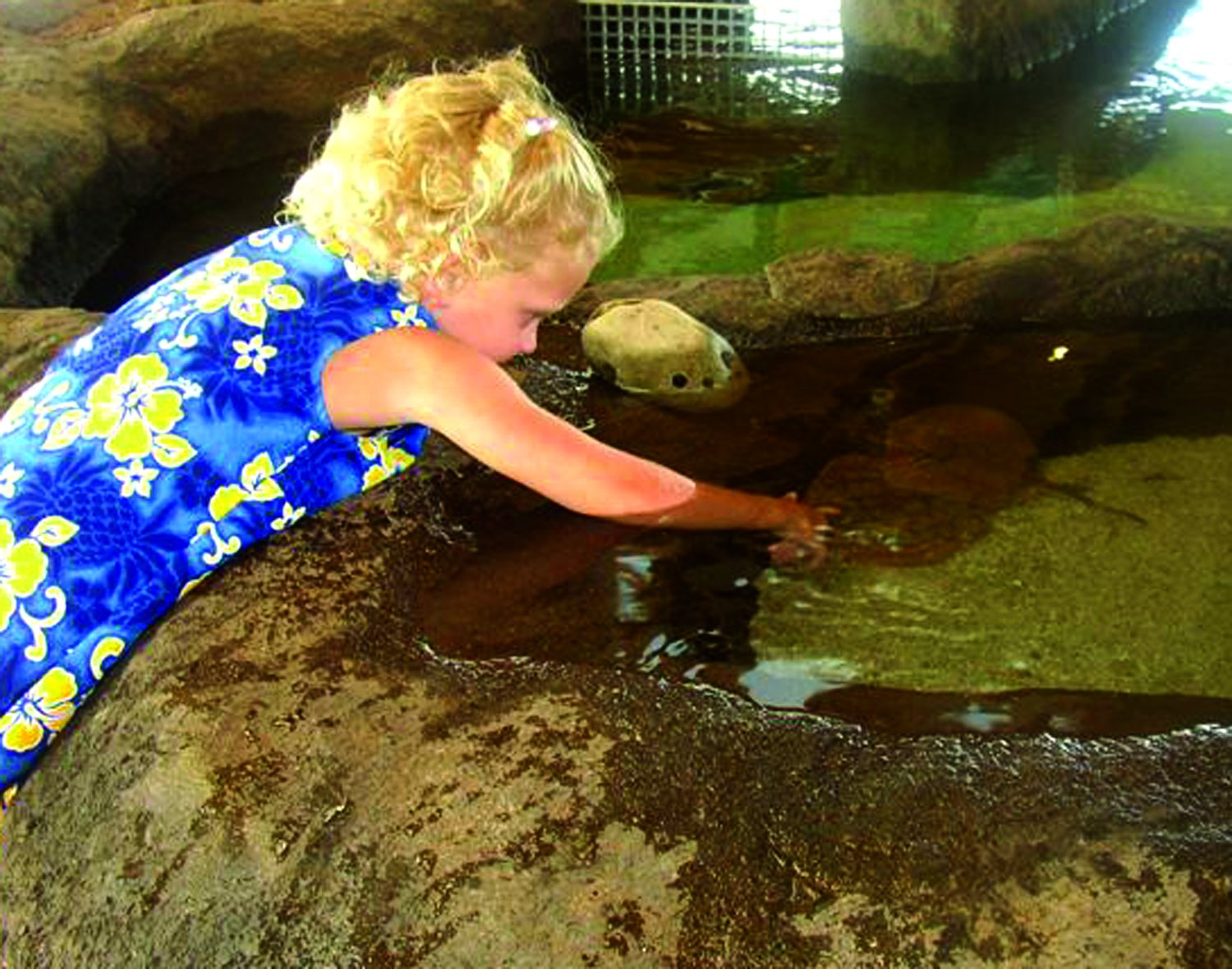 Children exploring the touch pool at the former Chula Vista Nature Center